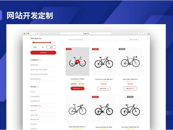 上海专业网站建设